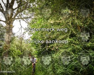 Foto's Hel van Harkema 04-07-2026 | Mountainbike & Gravel photo