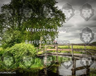 Foto's Hel van Harkema 04-07-2026 | Mountainbike & Gravel photo