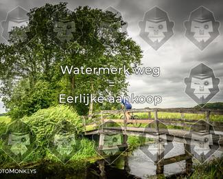 Foto's Hel van Harkema 04-07-2026 | Mountainbike & Gravel photo