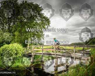 Foto's Hel van Harkema 04-07-2026 | Mountainbike & Gravel photo