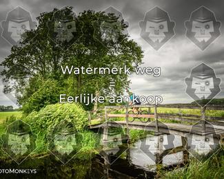 Foto's Hel van Harkema 04-07-2026 | Mountainbike & Gravel photo