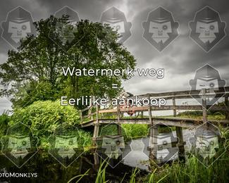 Foto's Hel van Harkema 04-07-2026 | Mountainbike & Gravel photo