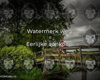 Foto's Hel van Harkema 04-07-2026 | Mountainbike & Gravel photo