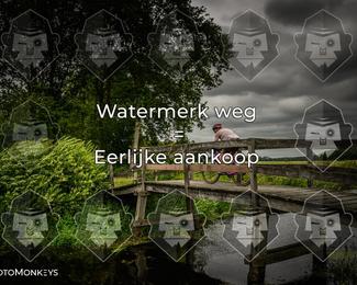 Foto's Hel van Harkema 04-07-2026 | Mountainbike & Gravel photo