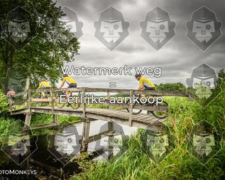 Foto's Hel van Harkema 04-07-2026 | Mountainbike & Gravel photo