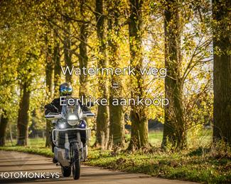 Herfstrit Moerzeke photo