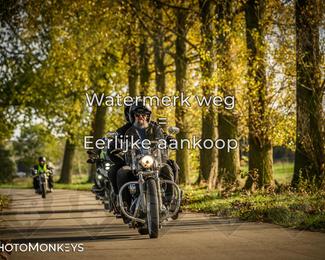 Herfstrit Moerzeke photo