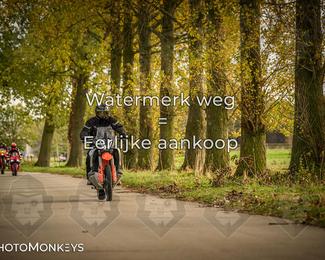 Herfstrit Moerzeke photo