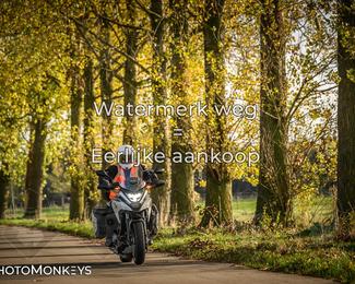 Balade d’automne Moerzeke photo