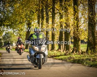 Herfstrit Moerzeke photo