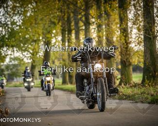 Balade d’automne Moerzeke photo