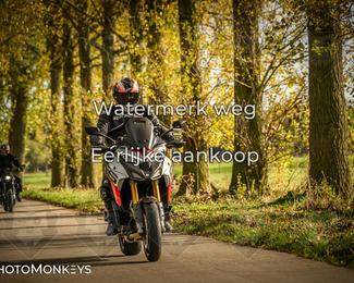 Herfstrit Moerzeke photo