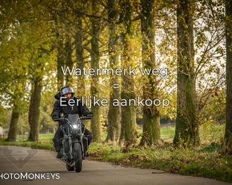 Herfstrit Moerzeke photo