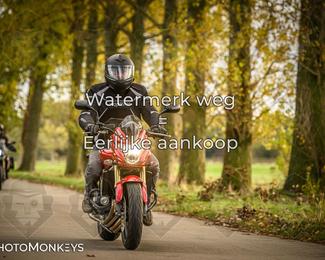 Herfstrit Moerzeke photo