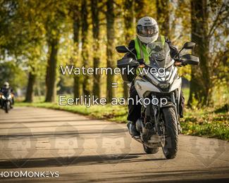 Herfstrit Moerzeke photo