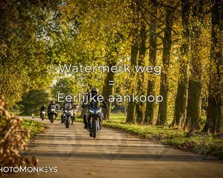 Herfstrit Moerzeke photo