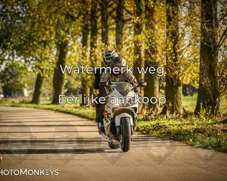 Herfstrit Moerzeke photo