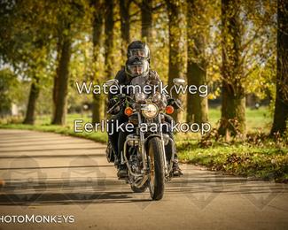 Herfstrit Moerzeke photo