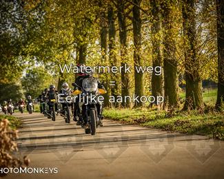 Herfstrit Moerzeke photo