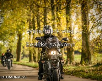 Herfstrit Moerzeke photo