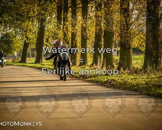 Balade d’automne Moerzeke photo