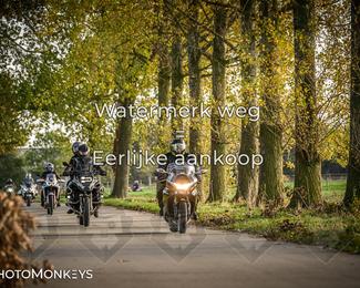 Herfstrit Moerzeke photo