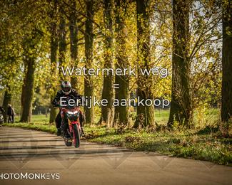 Balade d’automne Moerzeke photo