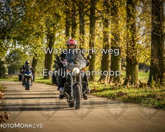 Herfstrit Moerzeke photo