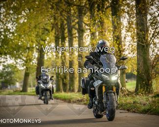 Herfstrit Moerzeke photo