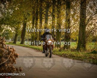 Herfstrit Moerzeke photo