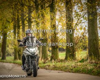 Herfstrit Moerzeke photo