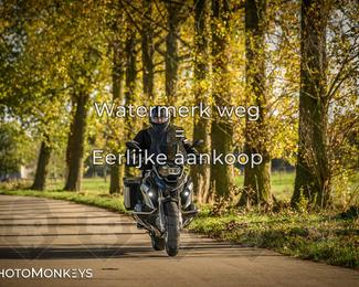 Herfstrit Moerzeke photo