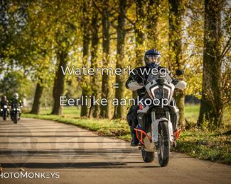 Herfstrit Moerzeke photo