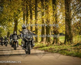 Herfstrit Moerzeke photo