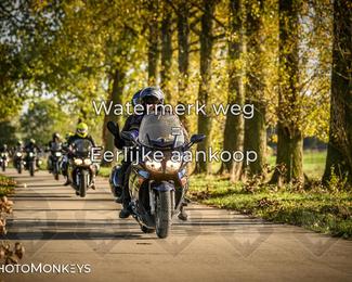 Herfstrit Moerzeke photo