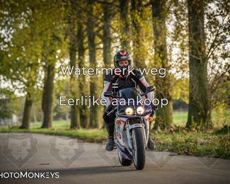 Balade d’automne Moerzeke photo