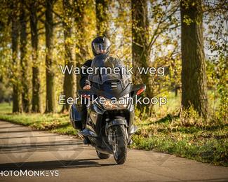 Herfstrit Moerzeke photo