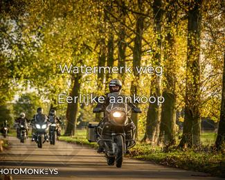 Herfstrit Moerzeke photo