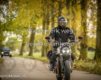 Herfstrit Moerzeke photo