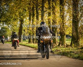 Herfstrit Moerzeke photo