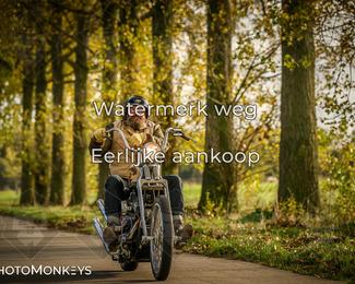 Herfstrit Moerzeke photo