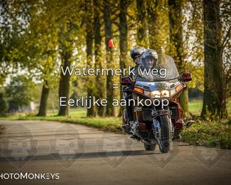 Herfstrit Moerzeke photo