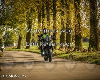 Herfstrit Moerzeke photo