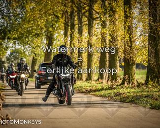 Herfstrit Moerzeke photo