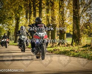 Herfstrit Moerzeke photo