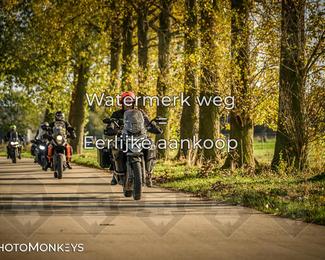 Herfstrit Moerzeke photo