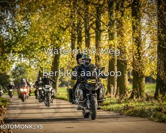 Herfstrit Moerzeke photo