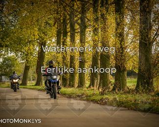 Herfstrit Moerzeke photo