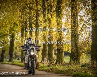 Herfstrit Moerzeke photo