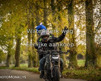 Herfstrit Moerzeke photo